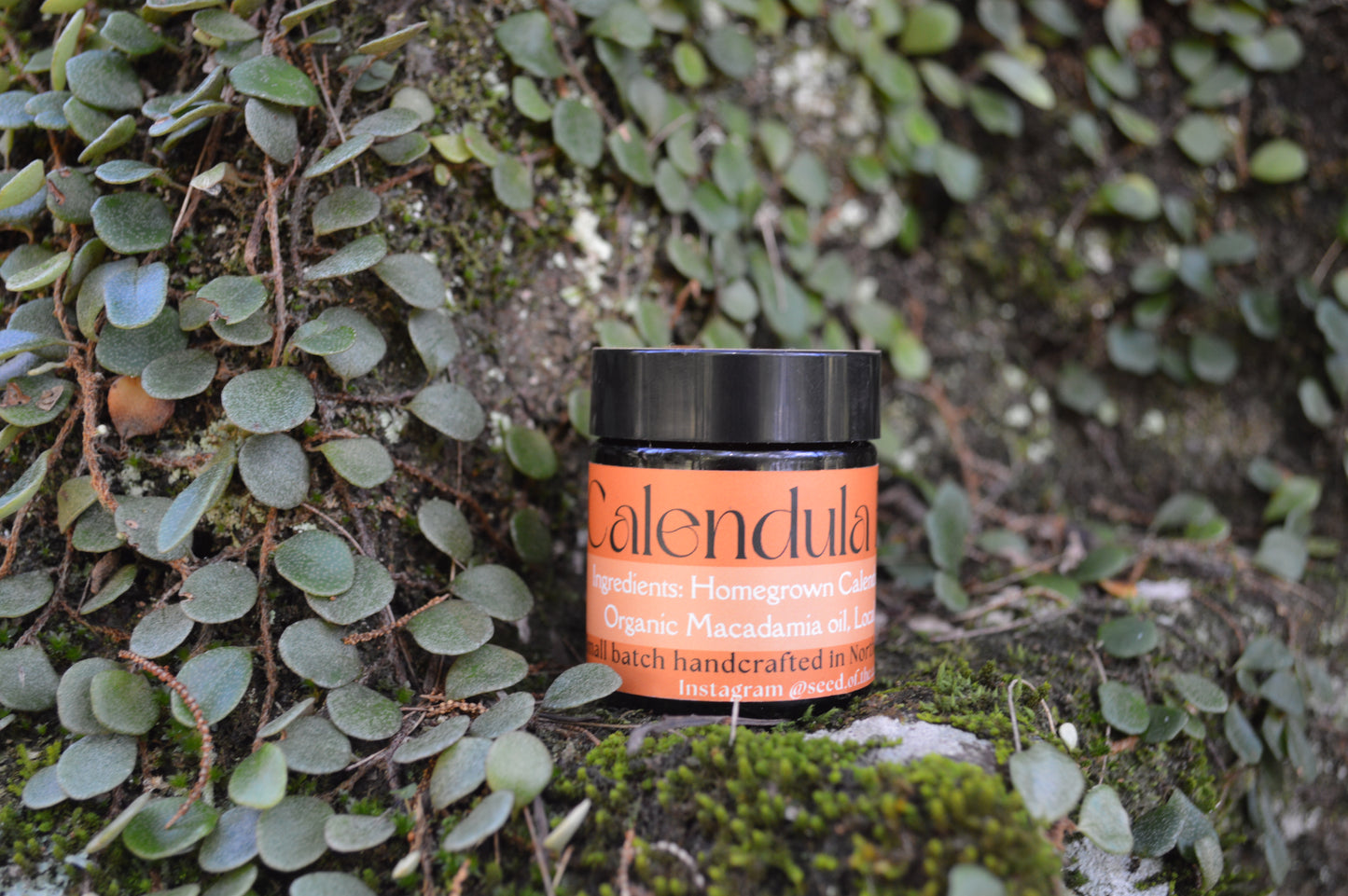 Calendula Balm
