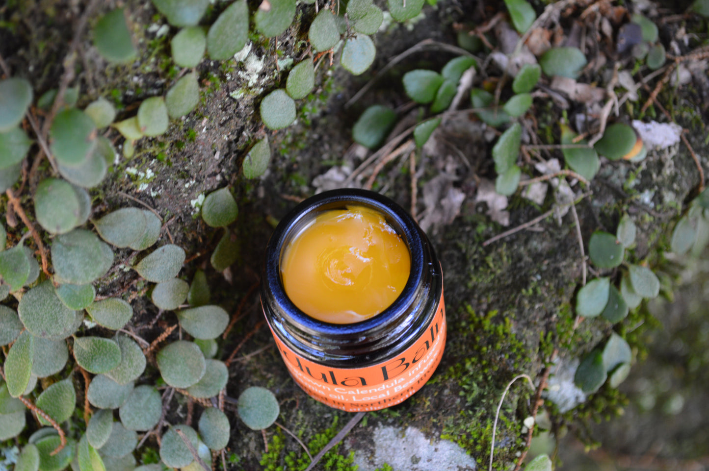 Calendula Balm